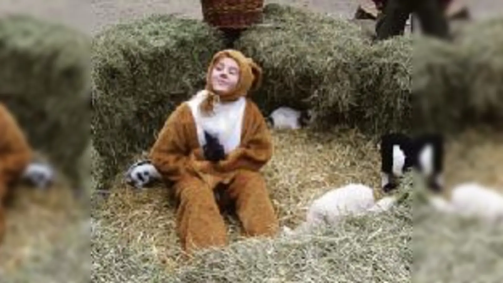 Schöne Ostern für Kinder: Auf sie warten nicht nur Schokohasen, sondern auch echte Osterhäschen.	 (Foto: pb)