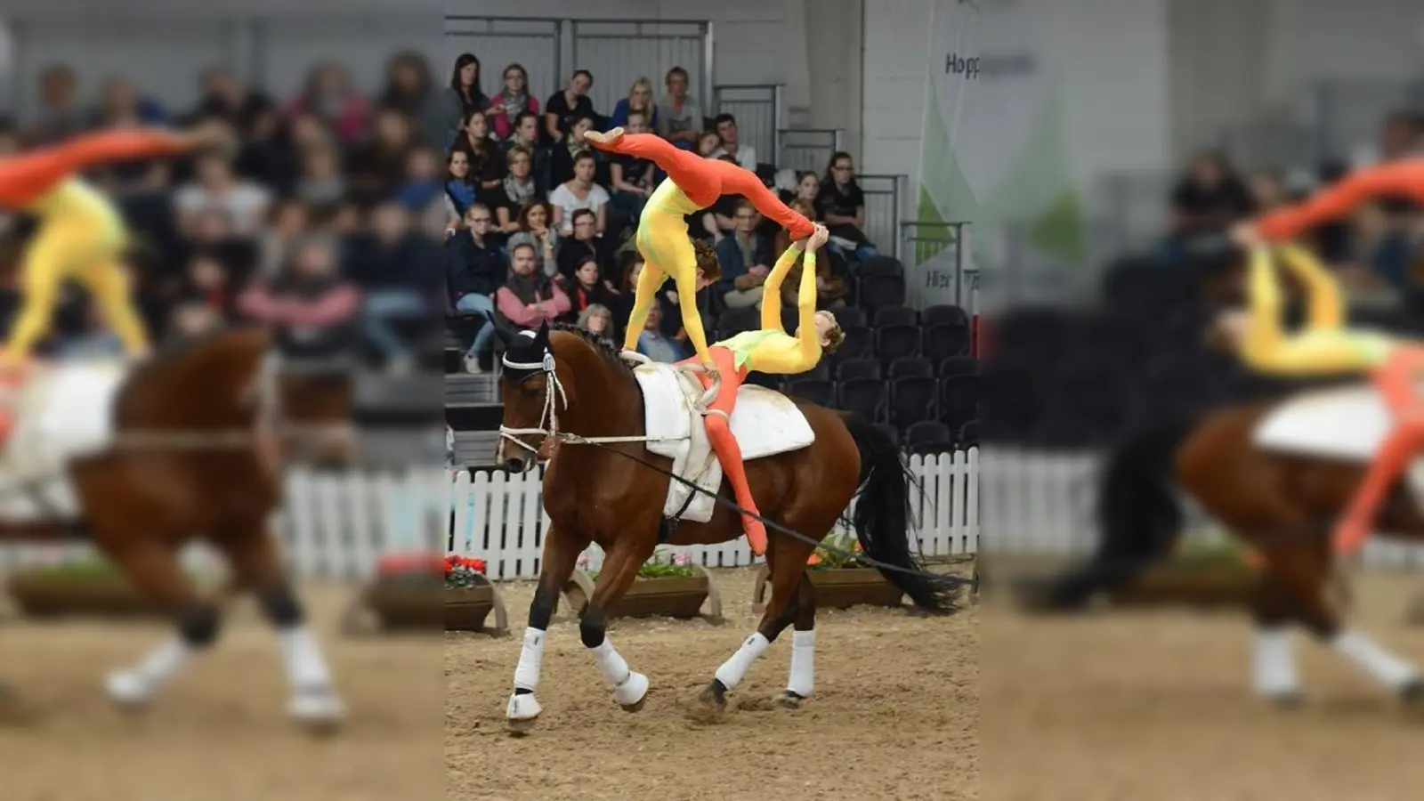 Unglaubliche Athletik. Der Nachwuchs des Voltigier Vereins Ingelsberg in Aktion.	 (Foto: Voltigier Verein Ingelsberg)