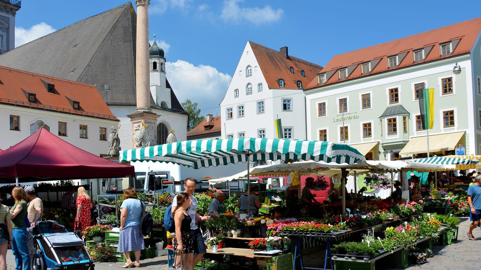 Gr-ner-Wochenmarkt-Freising