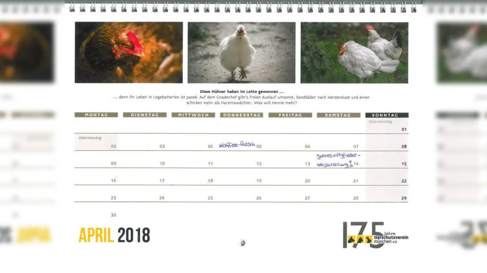 Noch sind nicht alle geplanten Veranstaltungen des Tierschutzvereins terminiert, aber einige können schon in den Kalender eingetragen werden. (Foto: eis)