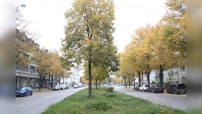 55 Maßnahmen sind für Radler in der Albert-Roßhaupter-Straße denkbar. Vorerst wird aber keine umgesetzt. (Foto: job)