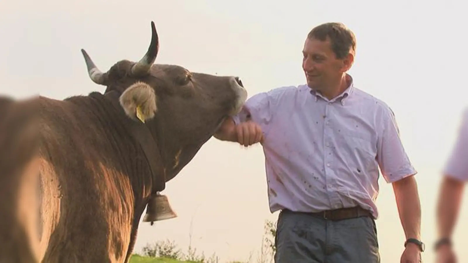 »Das liebe Rindvieh« heißt einer der Dokumentarfilme. Zu den Protagonisten gehört Bauer Franz-Josef Kögel.	 (Foto: VA)