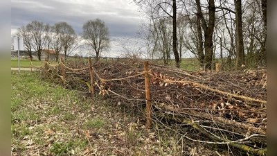 Die neue Benjes-Hecke wird in einiger Zeit tausenden von Lebewesen eine neue Heimat bieten. (Foto: pst)