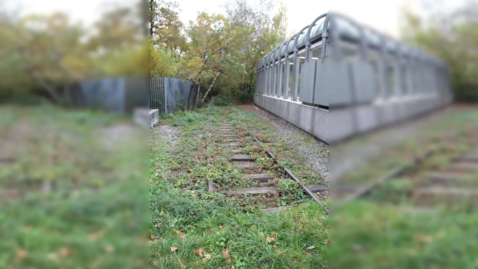 Der alte Gleisstrang am der U-Bahnstation Machtlfinger Straße böte Platz für einen Fuß- und Radweg abseits des Autoverkehrs. (Foto: gcdw)