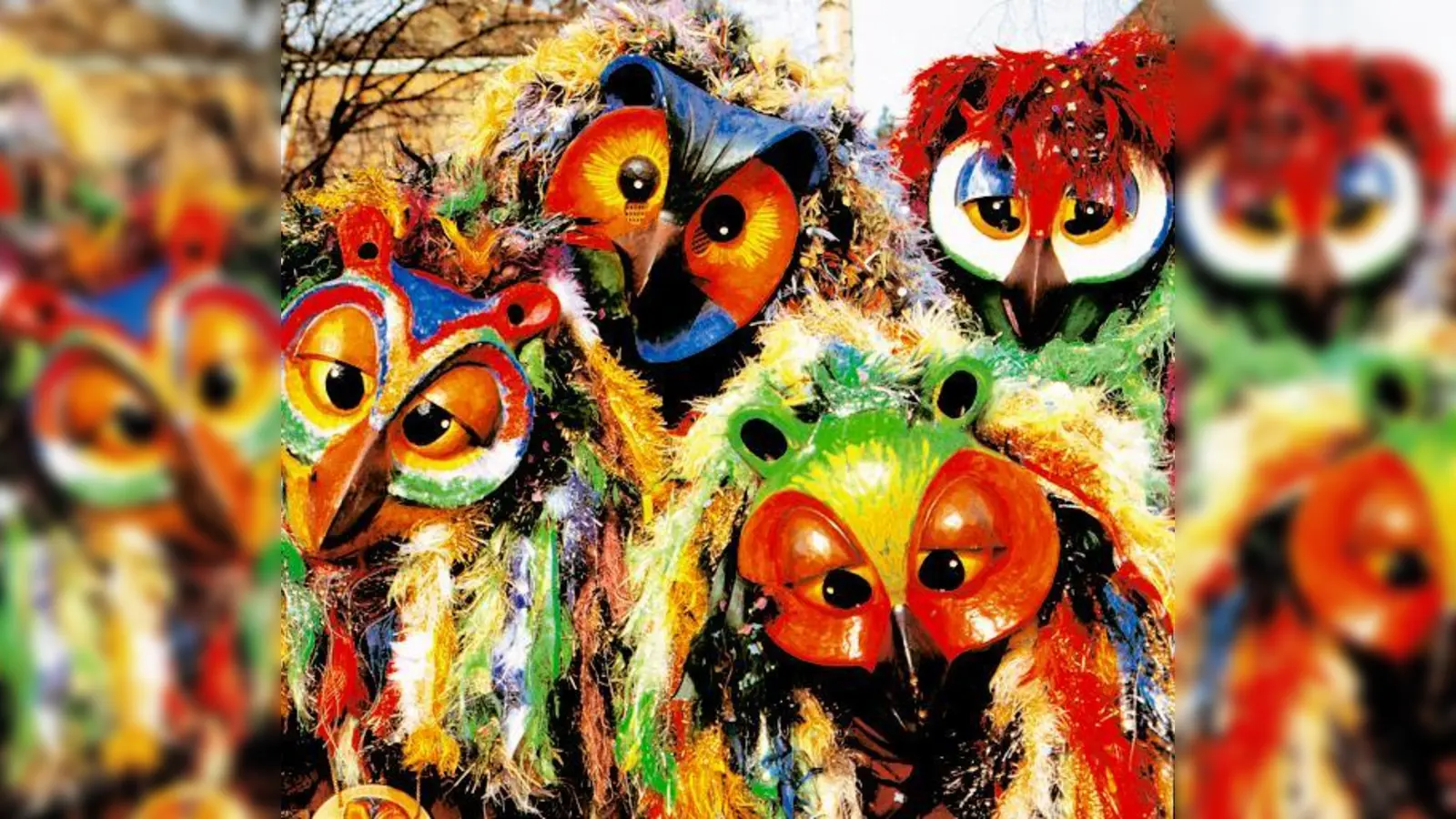 Faszinieren die Menschen wie sonst keine andere Vogelart: Eulen.	 (Foto: VA)