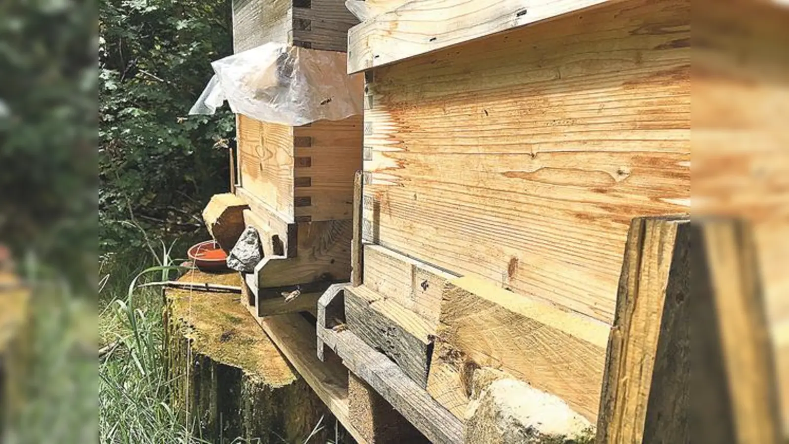 Alles rund um Bienen und Imkern erfahren Interessierte bei einem Workshop am Grünstreifen im Bürgerpark.	 (Foto: VA)