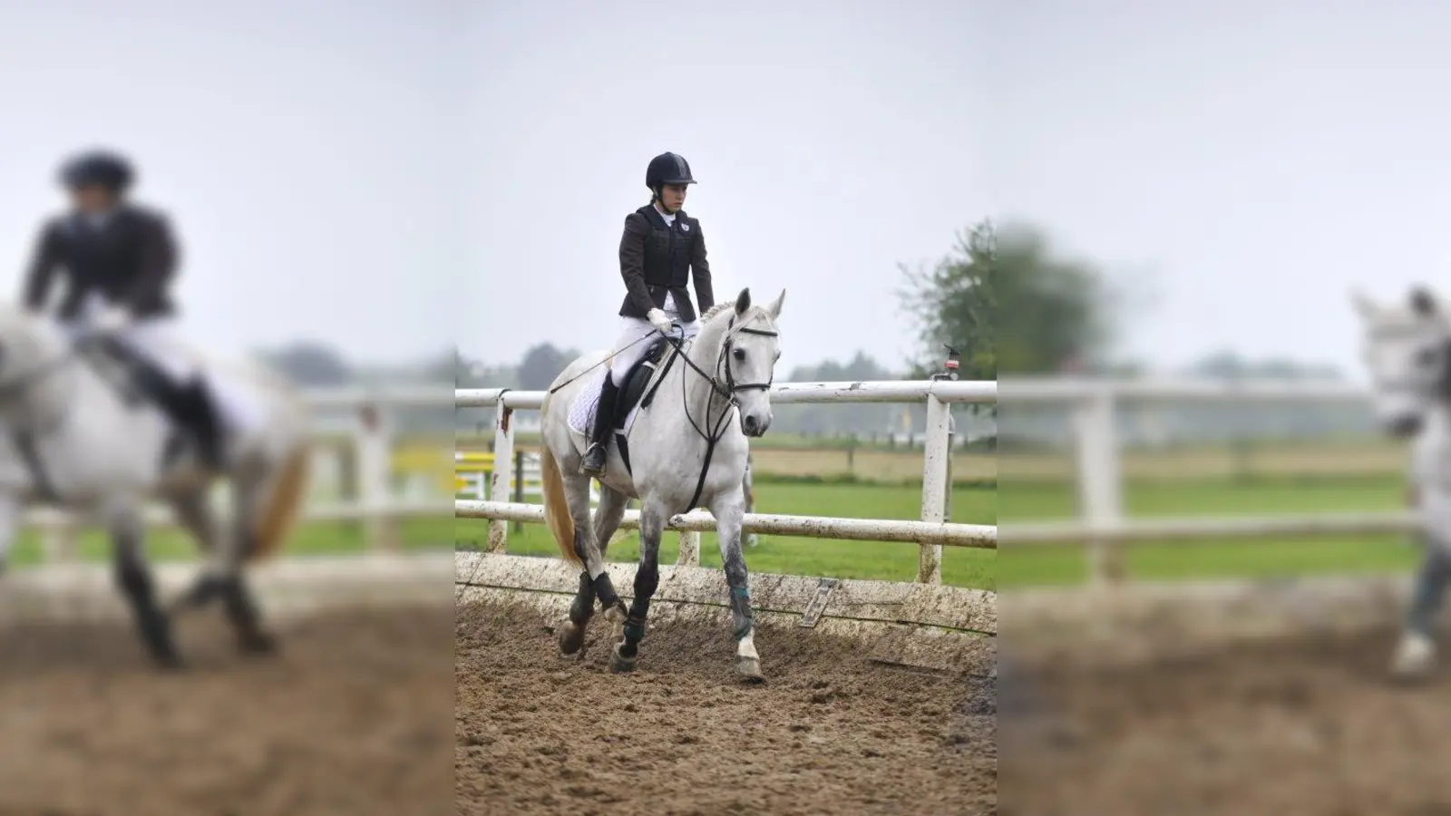 Turnierreiten motiviert. (Foto: Marlies Hermann)