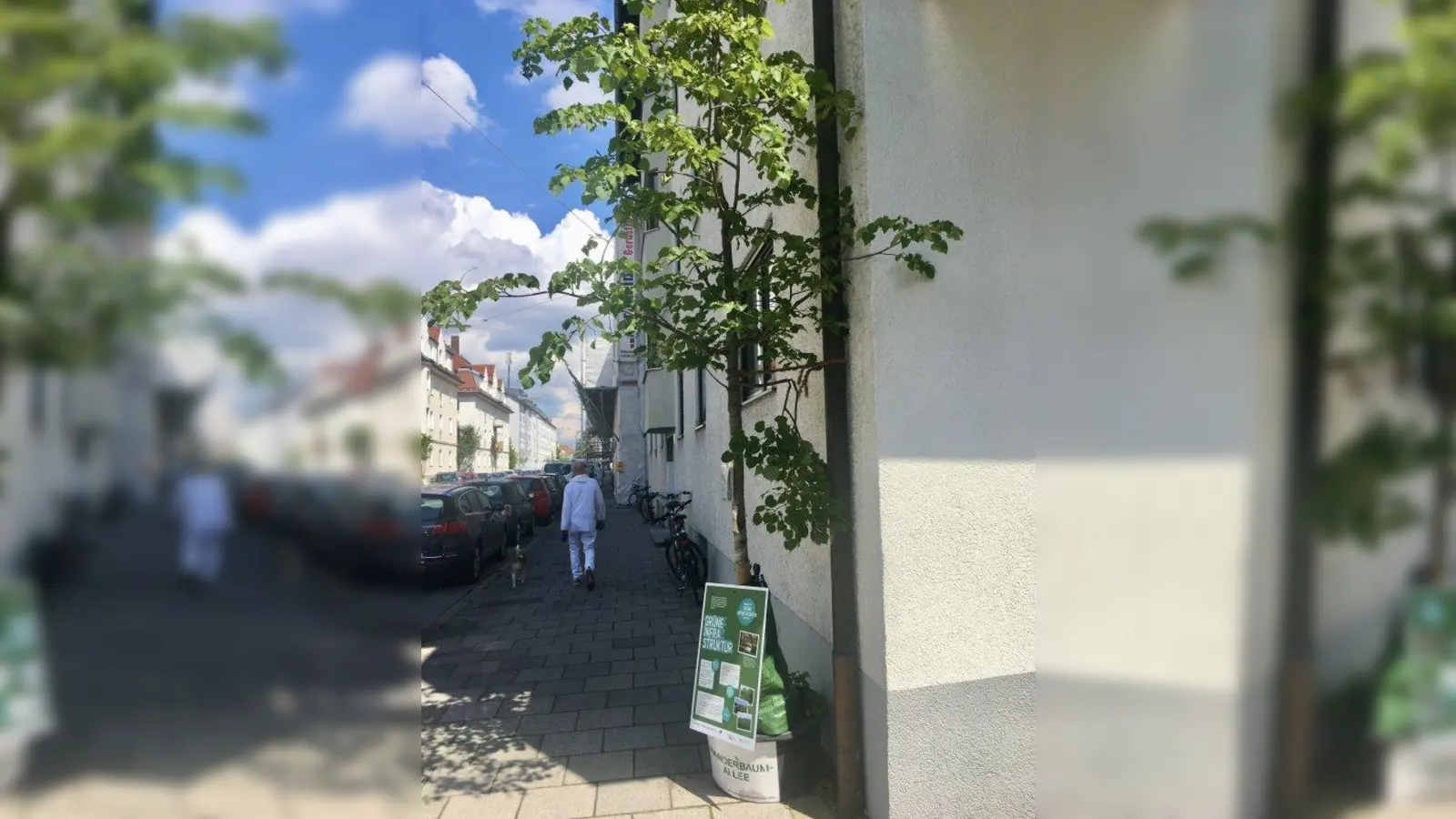Gleich etwas freundlicher wirkt die Gräfstraße zwischen Planegger Straße und Bäckerstraße durch die Wanderbaumallee. (Foto: bb)