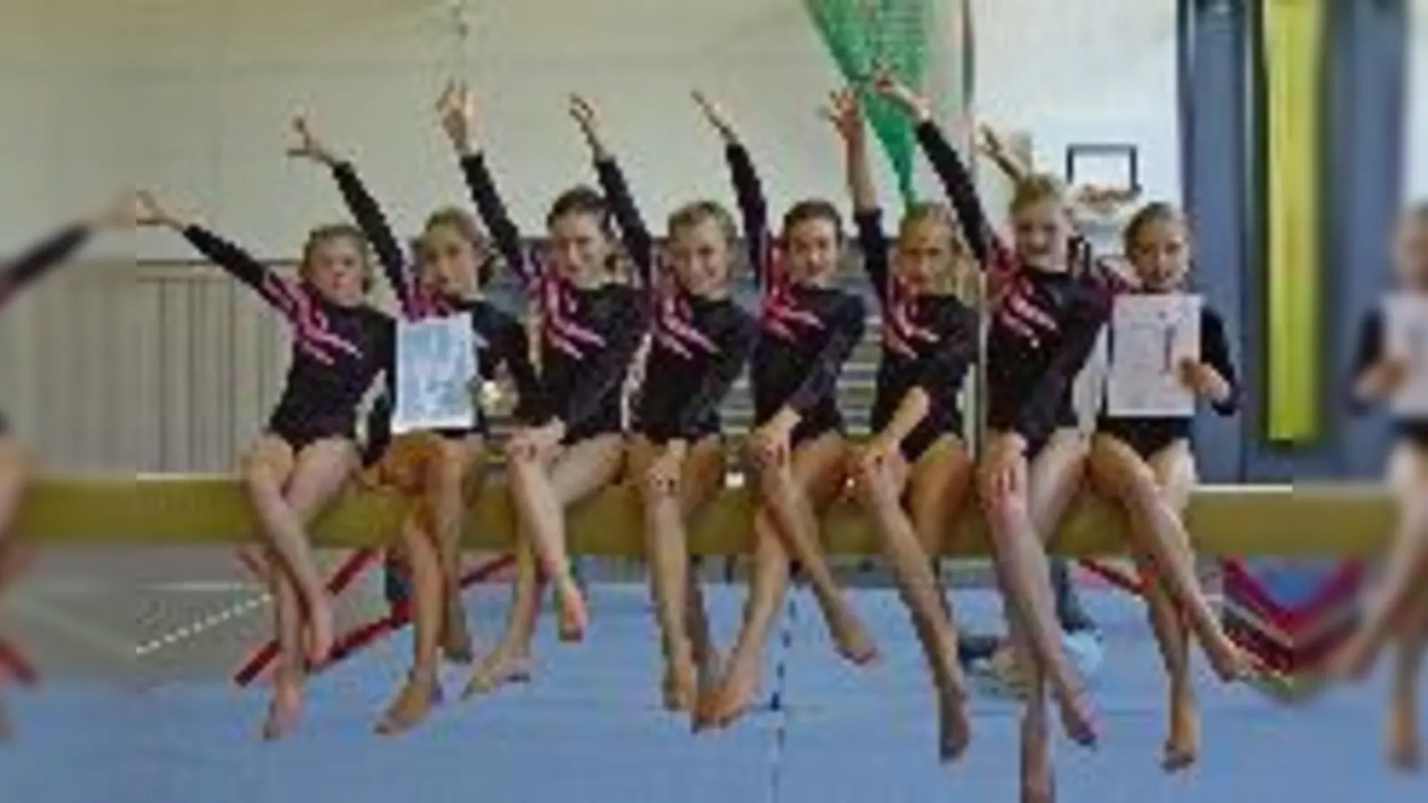 Die erfolgreiche E-Jugend des TSV Unterföhring beim »Geräteturnen im Verein«.	  (Foto: TSV)