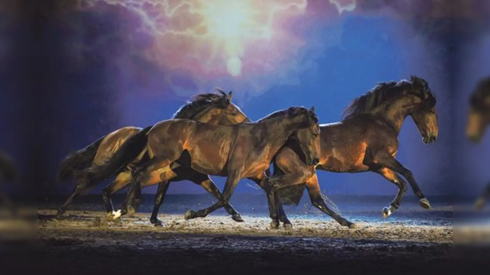 Schönste Pferderassen und faszinierende Reitkunst. 	 (Foto: VA)