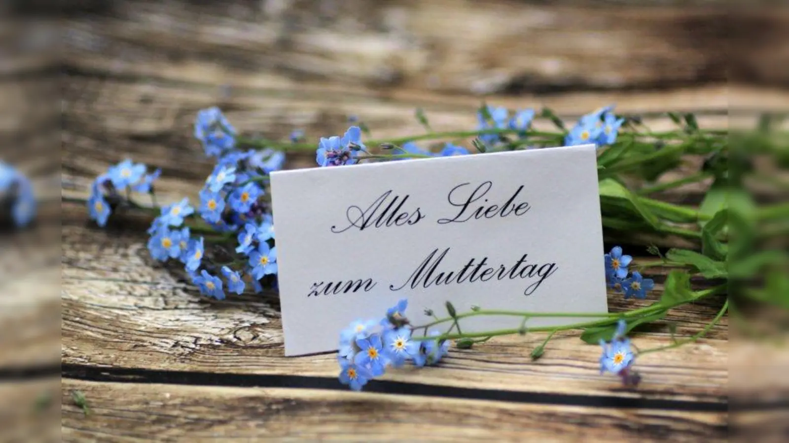 Seit 1914gibt es den Muttertag offiziell. In Deutschland wurde er 1933 offizieller Feiertag. (Foto: Foto: Alexandra H./pixelio.de)