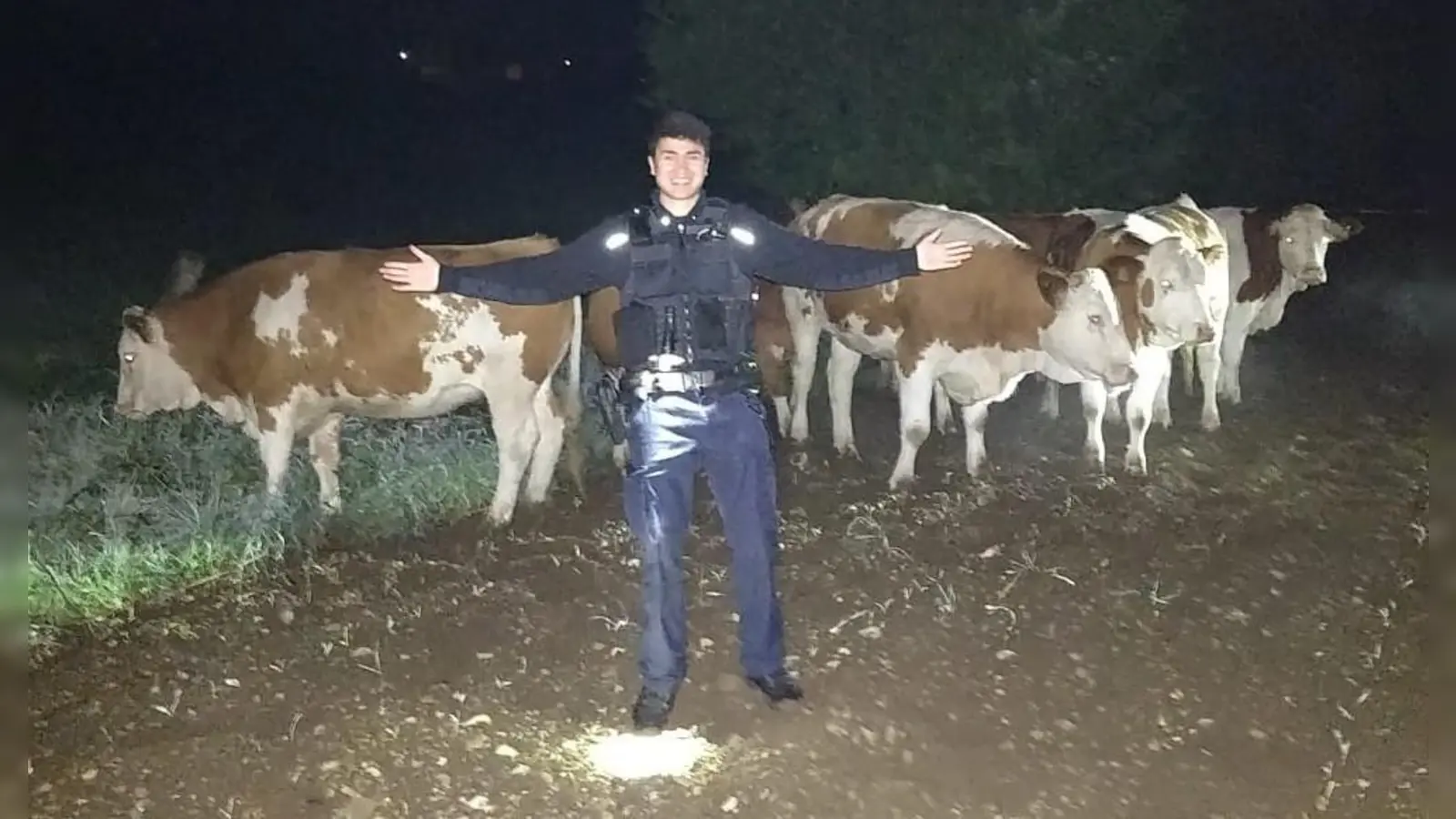 „Siehst des Polizisten Brust oder Rücken, musst du auf die Bremse drücken …“ – für die nächtliche „Rinderjagd“ wurde diese Eselsbrücke aus dem Verkehrsunterricht kurzerhand umgedichtet: „Siehst du des Polizisten Brust oder Rücken, wird er dich zurück zur Weide schicken“. (Foto: Bundespolizei)