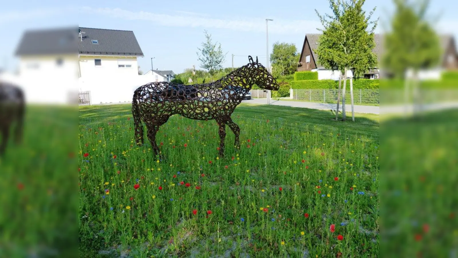 Das Hufeisenpferd fühlt sich wohl in der Blumenwiese. (Foto: Gemeinde Alling)