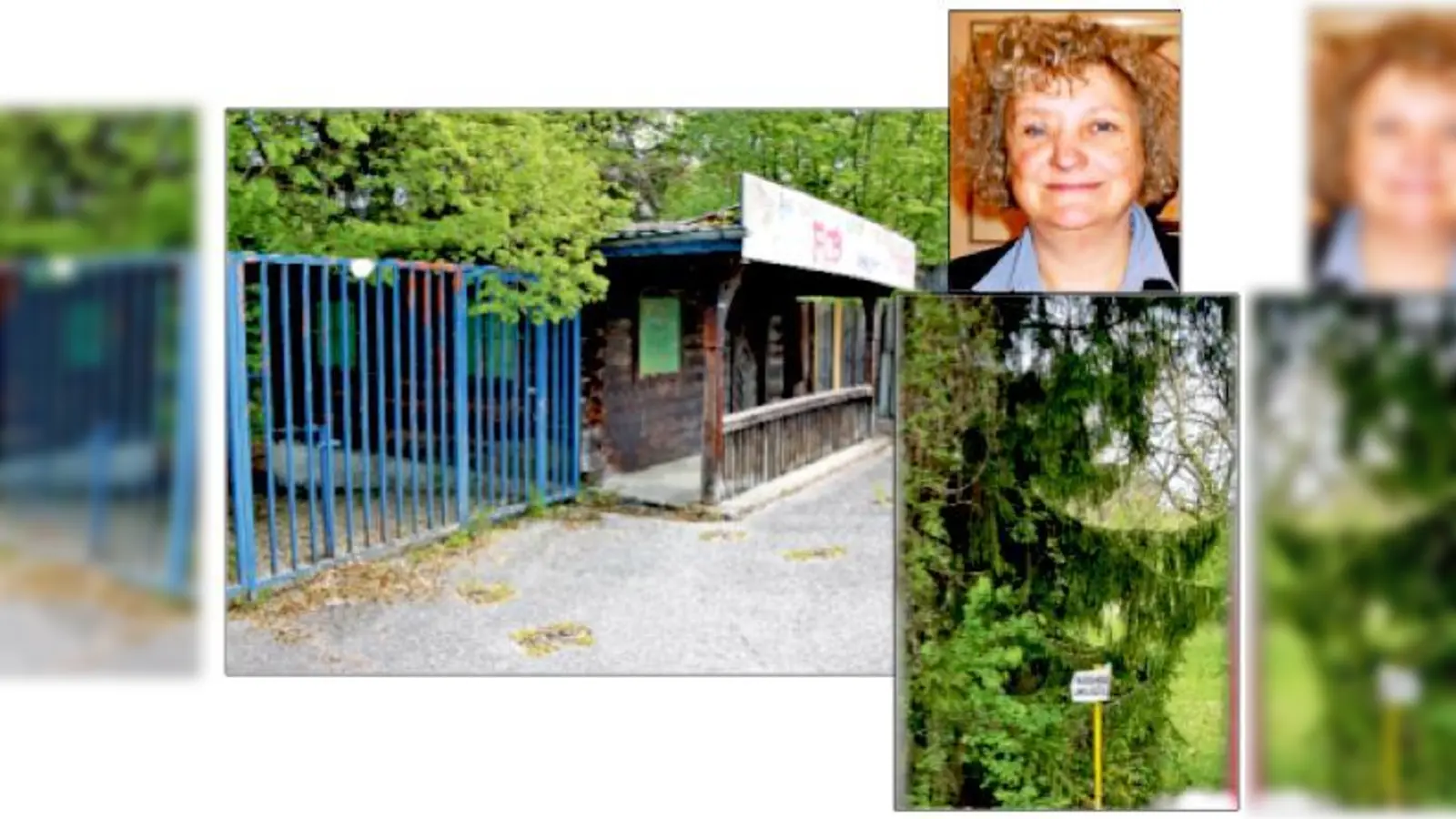 Was soll aus dem Areal des Floriansmühlbades werden? Laut Petra Piloty sollen dort Grünflächen und wieder ein Schwimmbad entstehen. 	 (Foto: js/Archiv)