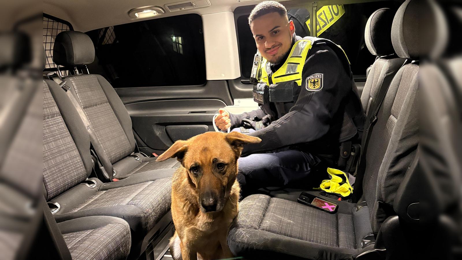 Hund-im-Gleis-Scheues-Tier-an-Haltepunkt-Heimstetten-aufgegriffen