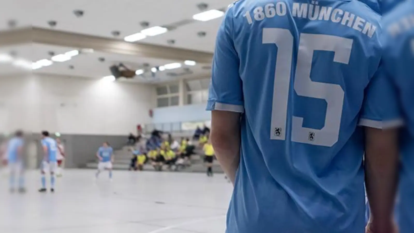 Winterpause: Junglöwen unter dem Hallendach.  (Foto: Anne Wild)