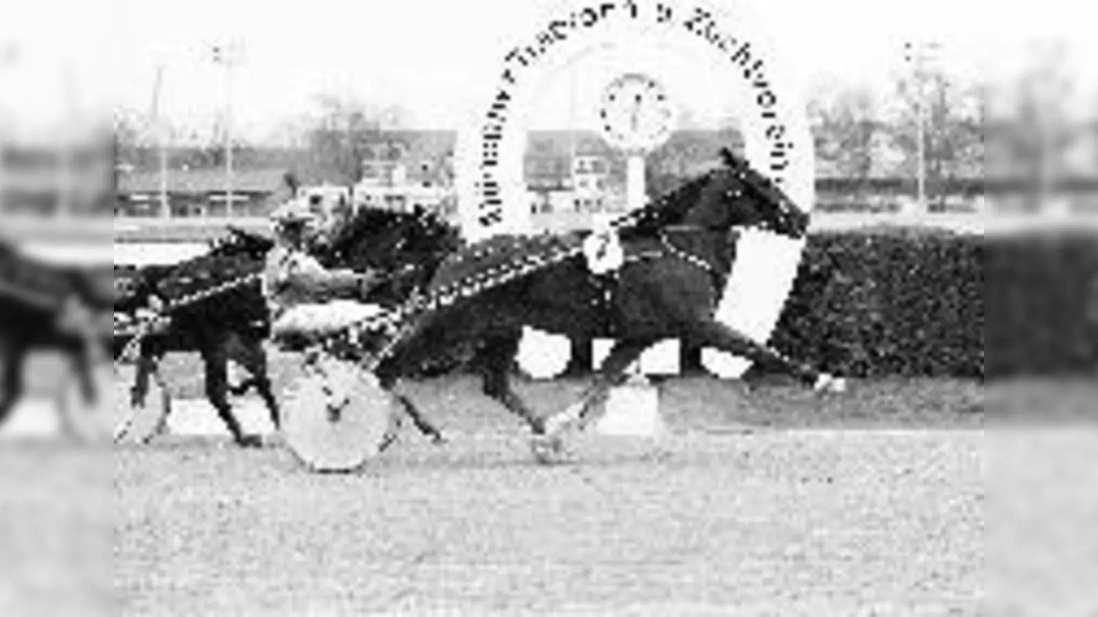 Hannu Voutilainen und Yankee Zepplin beim Einlauf vor der Konkurrenz.	 (Foto: Hans Springer)