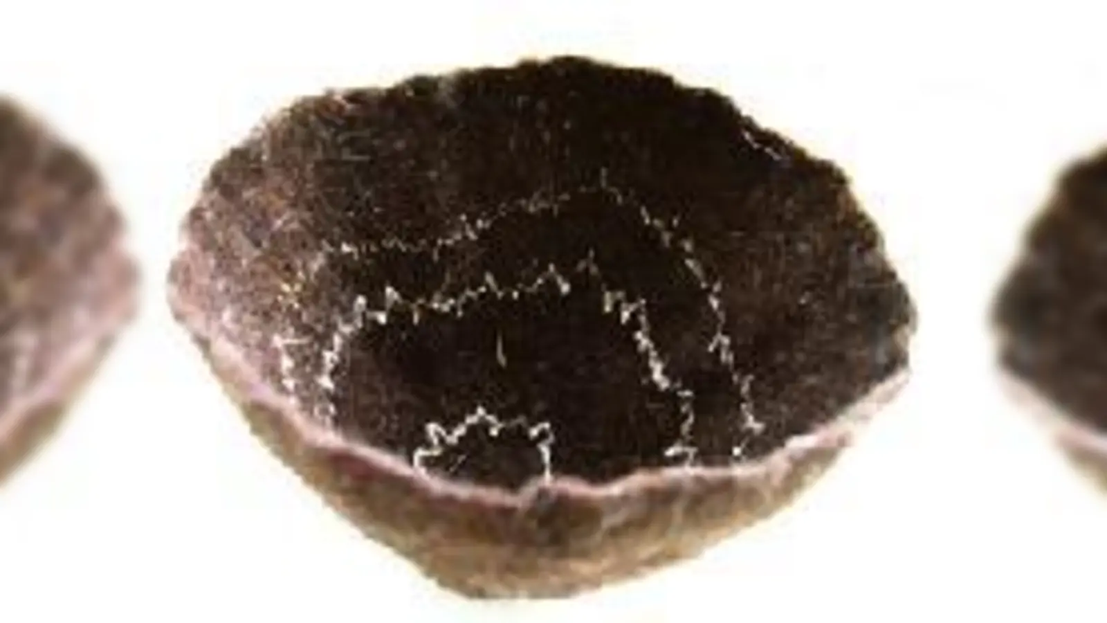 Schöne Dinge einfach selbst herstellen: beim Filzkurs in der Seidlvilla. 	 (Foto: VA)