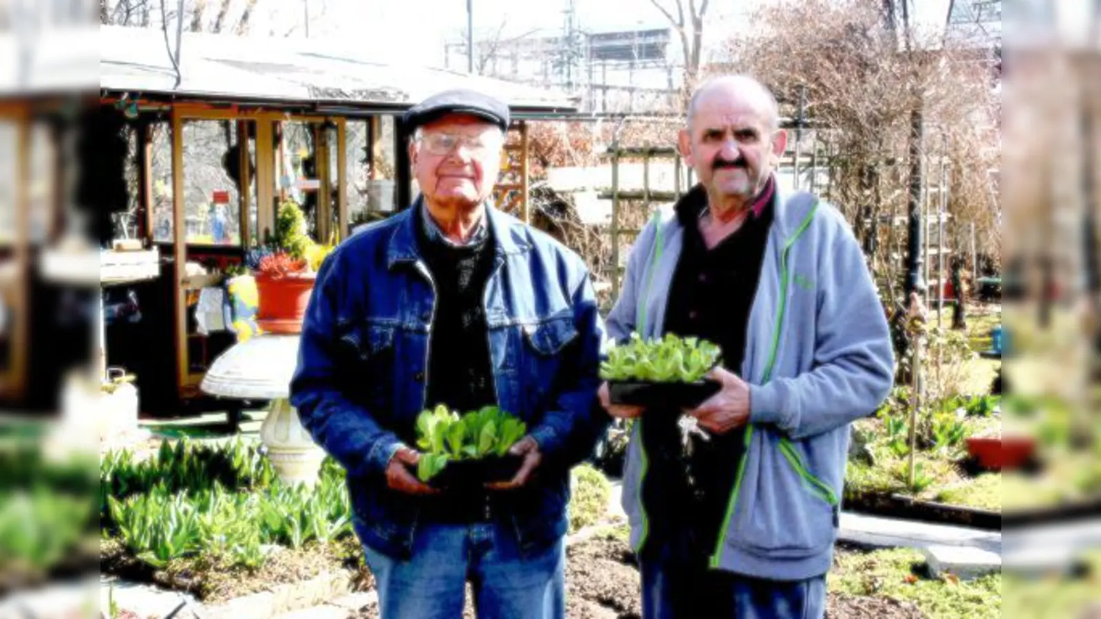 Günter Eppeneder (links) und Rudolf Bukowczan kämpfen für den Erhalt der Kleingartenanlage an der Hartmannshofer Straße.	 (Foto: ws)