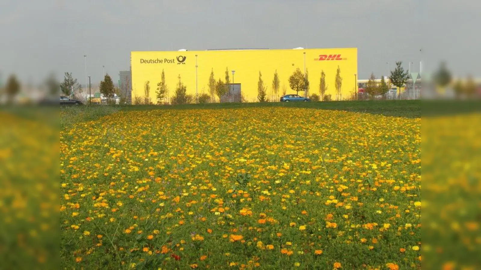 In der Nähe des DHL-Paketverteildienstes soll das neue Briefverteilzentrum der Post entstehen. (Foto: pst)