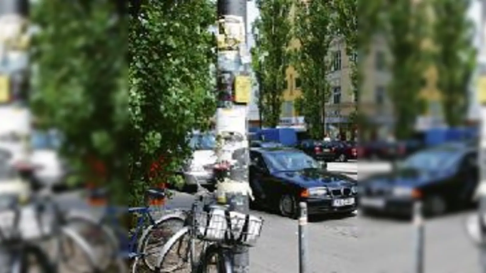 Mekka der »wilden« Plakatiererei ist vor allem die Leopoldstraße (hier am Laternenmast): das sticht Bürgern und auch dem BA unangenehm ins Auge. 	 (Foto: pa)