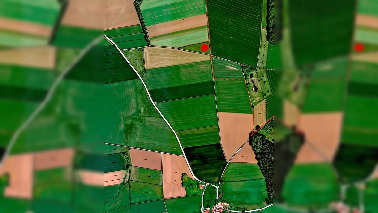 Zwischen Purfing und Neufarn wird am 1. Mai der lebendige Maibaum gepflanzt. 	 (Foto: Andreas Duscher, Umweltamt)