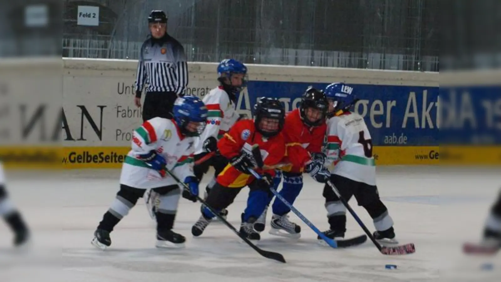 Die Kleinstschüler des ESC München spielten eine gute Hinrunde.  (Foto: Privat)
