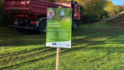 Nomen est Omen: In der Gemeinde Pollenfeld (Landkreis Eichstätt) wird eine Blühwiese angelegt. (Foto: Anne Fröhlich)