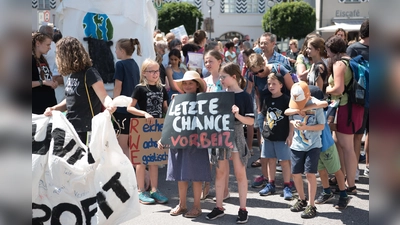 Am Freitag, den 20. September wird zum dritten globalen Klimastreik aufgerufen. (Foto: Valentin Winhart)