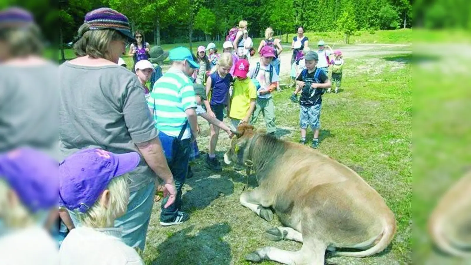 Die jungen Besucher erkundeten die Alm und lernten viel über den Alltag mit Kühen, Rindern und Pferden. (Foto: pi)