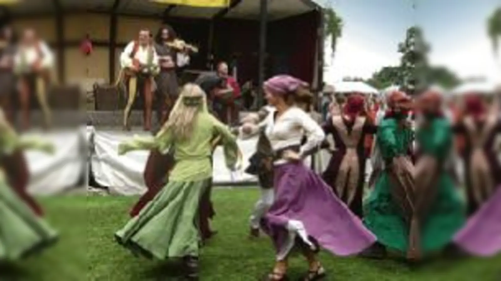 Die Kunst des Tanzes beherrschen diese edlen Fräulein perfekt.	  (Foto: VA)