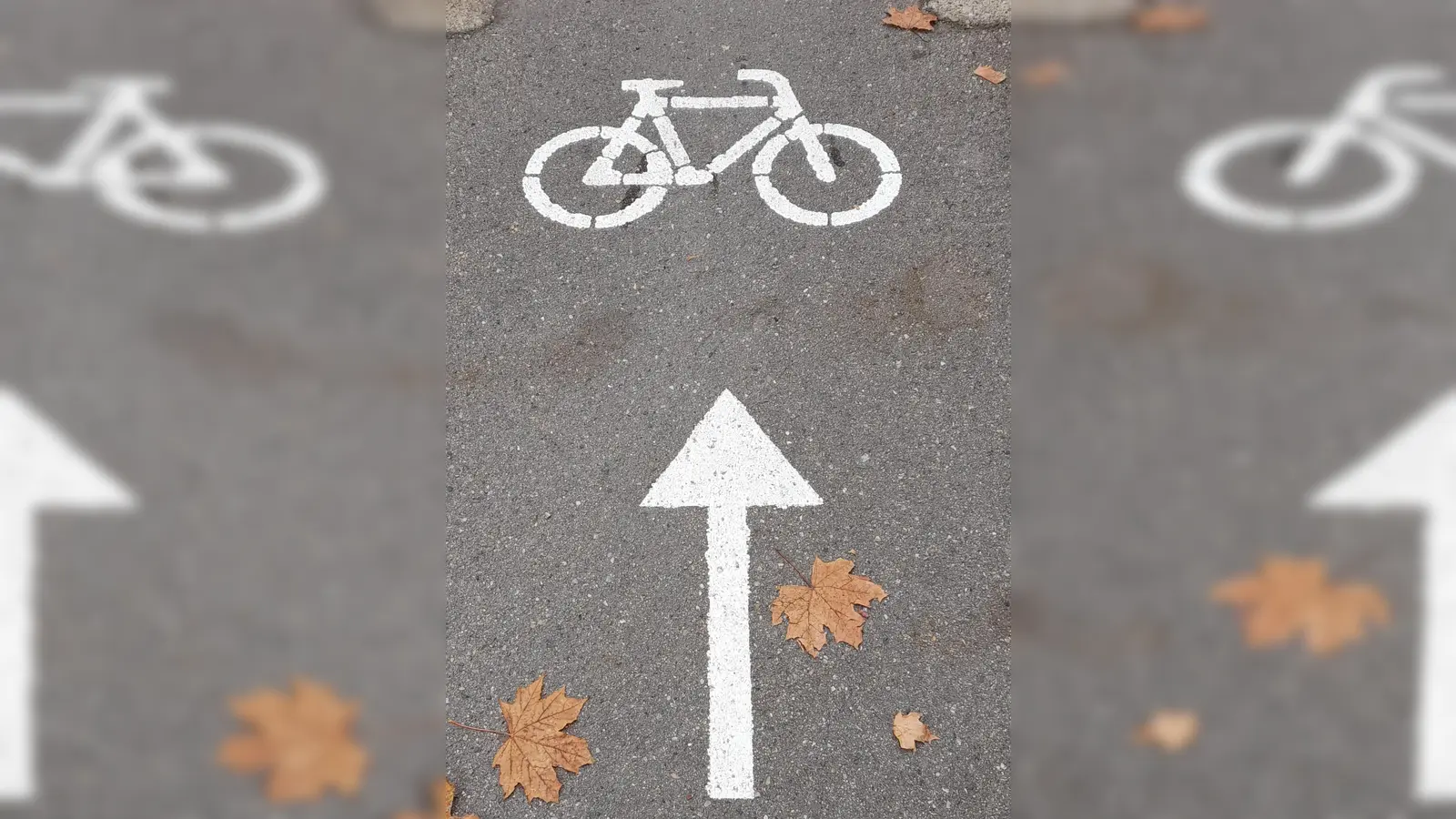 Künftig soll es für Radfahrer in der Valpichlerstraße nicht nur in eine Richtung gehen. Der Bezirksausschuss setzt sich für die beidseitige Befahrung ein. (Foto: Beatrix Köber)