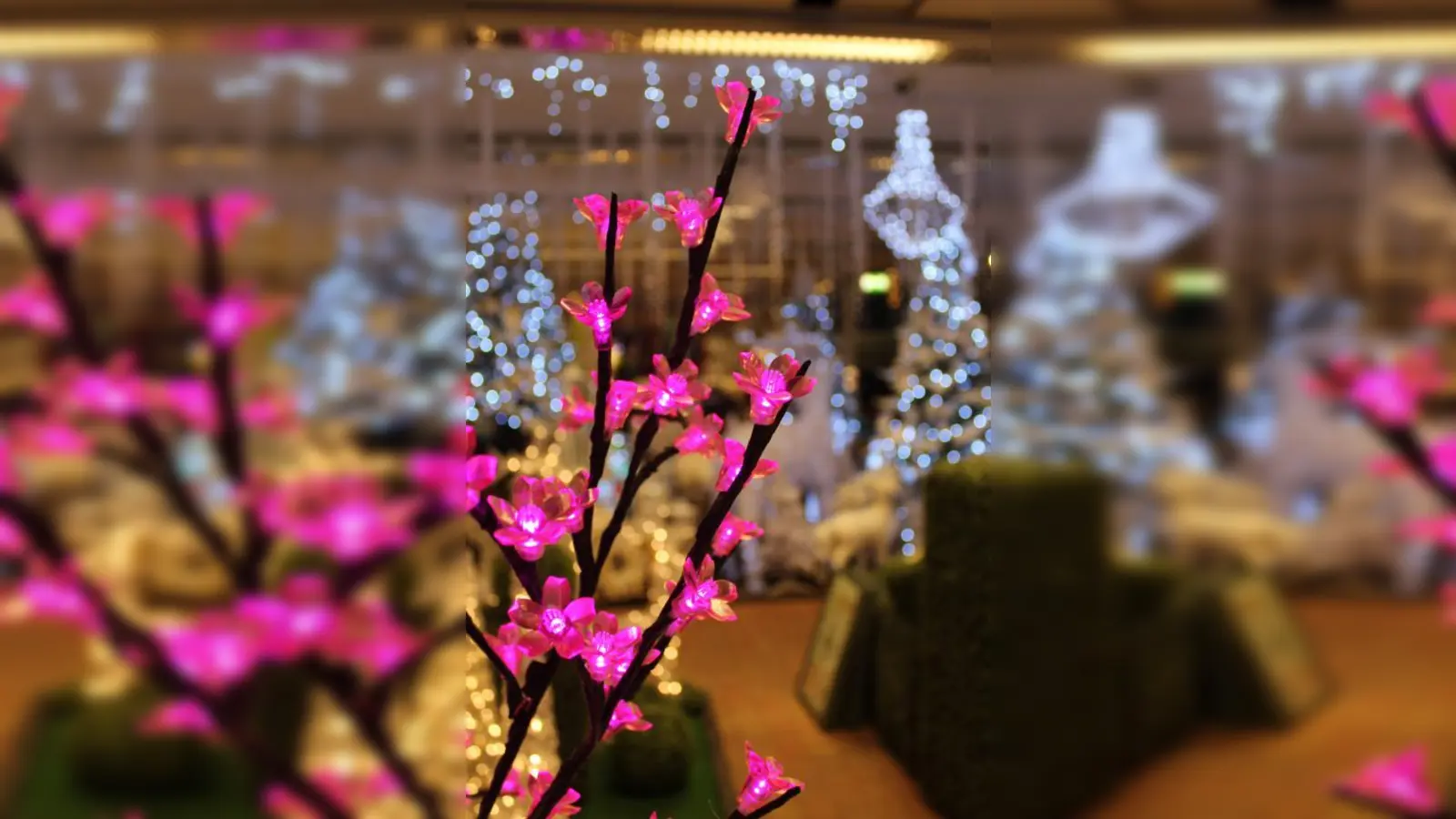 Besonders praktisch für Dekorationen in der Vase ist die LED-Lichterkette mit Batterie. Unempfindlich gegen Wasser kann Sie variabel für die Tischdekoration eingesetzt werden. (Foto: pi)