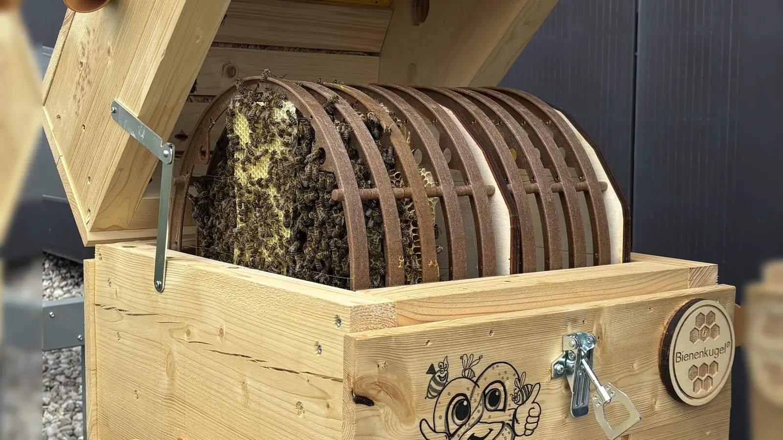 Zuhause auf knapp 2000 Quadratzentimetern: Ein Bienenvolk hat das Holzhybrid-Bürogebäude i8 am iCampus im Werksviertel bezogen. (Foto: R&S Immobilienmanagement)