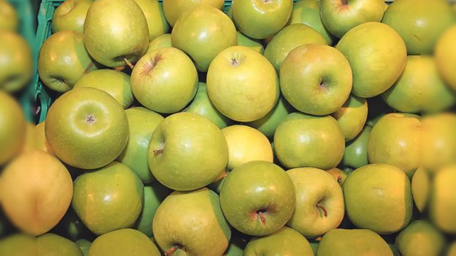 Aus den frisch geernteten Äpfel selbst Apfelsaft pressen, ist Ende August in Ebersberg wieder möglich. 	 (Foto: hw)