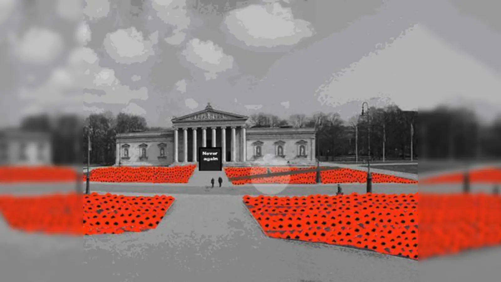 3000 Mohnblumen erblühen auf dem Königsplatz in München bis 2. Dezember 2018.  (Foto: Walter Kuhn)