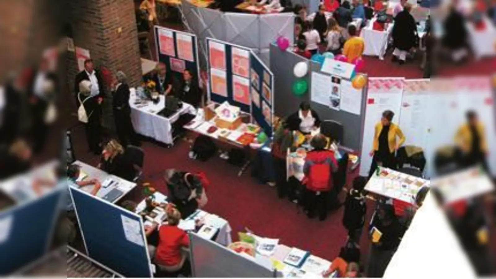 Bei der Frewilligen Messe können sich Interessierte über ehrenamtliches Engagement informieren. 	 (Foto: FöBE)