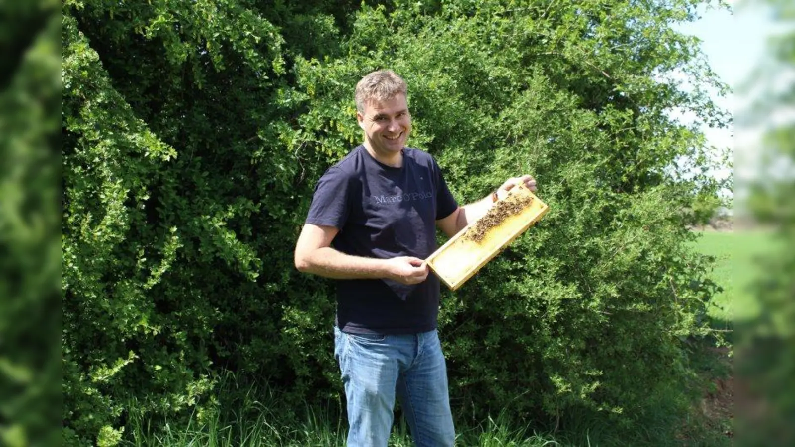 Imker Andreas Schmeiser kümmert sich um die Bienen an der Kleingartenanlage Westwind. (Foto: sb)