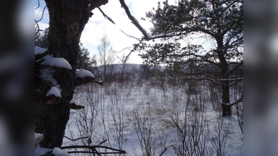 So schön ist das Münchner Umland im Winter (Foto: HFV)