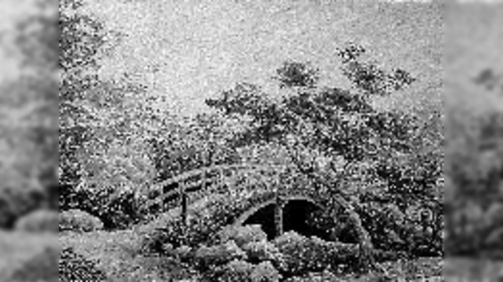 »Japanische Brücke« von M. L. Schürer.	 (Foto: Privat)