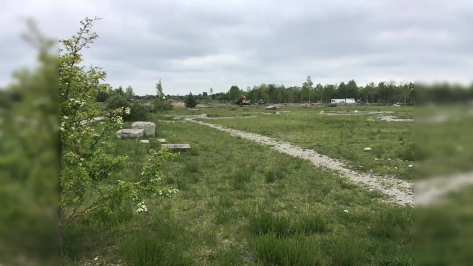 Wegen der Corona-Pandemie rückt die Natur vor der eigenen Haustüre verstärkt in den Fokus. Unser Bild zeigt die Fröttmaninger Heide im Münchner Norden.  (Foto: dm)