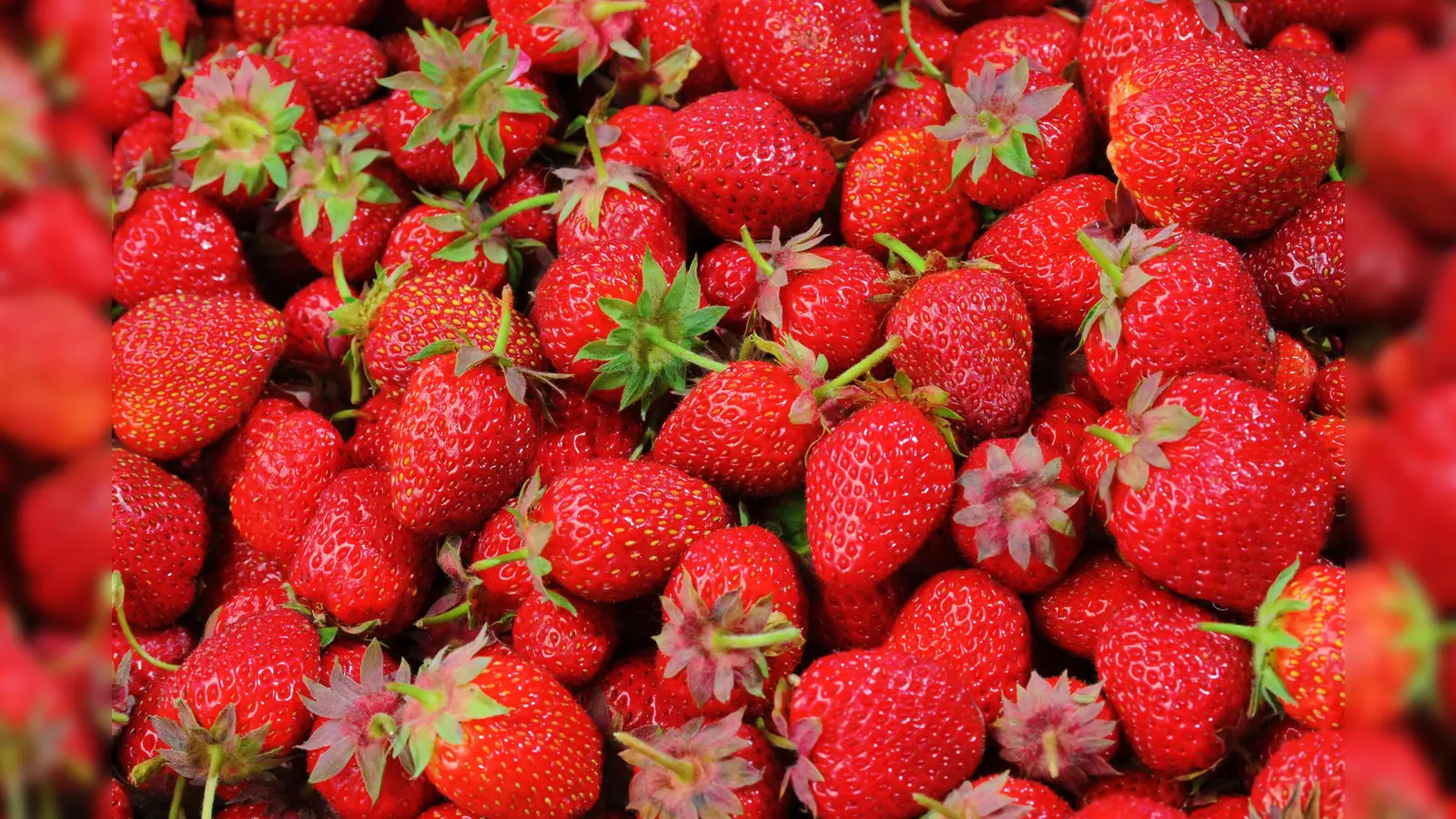 Nachhaltig einkaufen bedeutet, Obst und Gemüse zu kaufen, das gerade frisch und regional wächst. (Foto: CC0)
