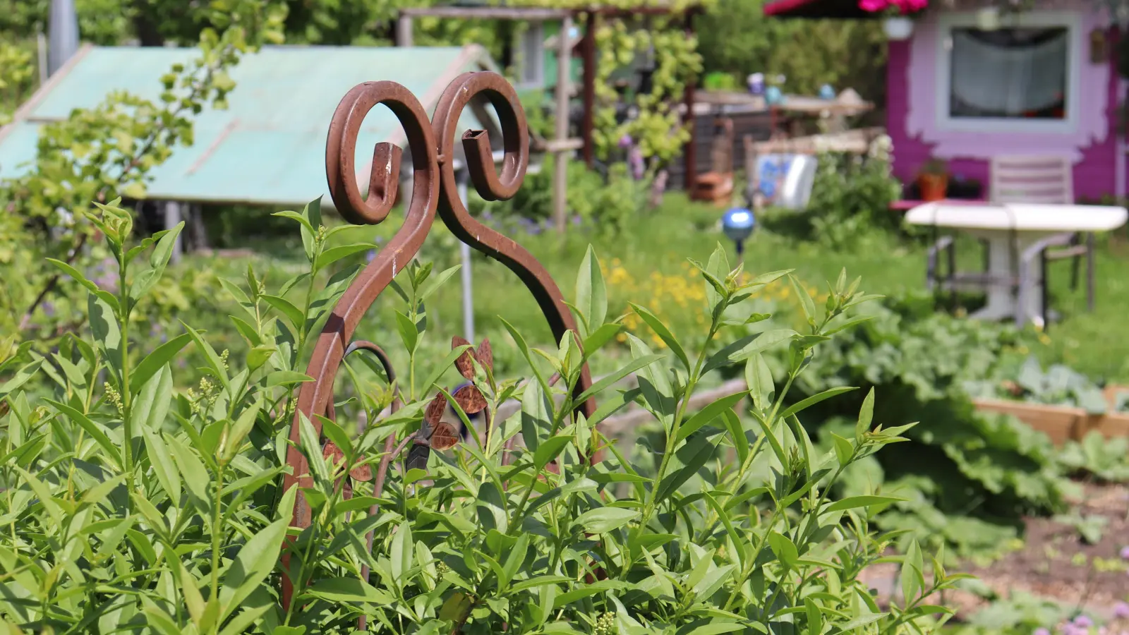 Die diesjährige Truderinger Kinderrallye dreht sich um das Thema Pflanzen und Gärten. (Foto: bas)