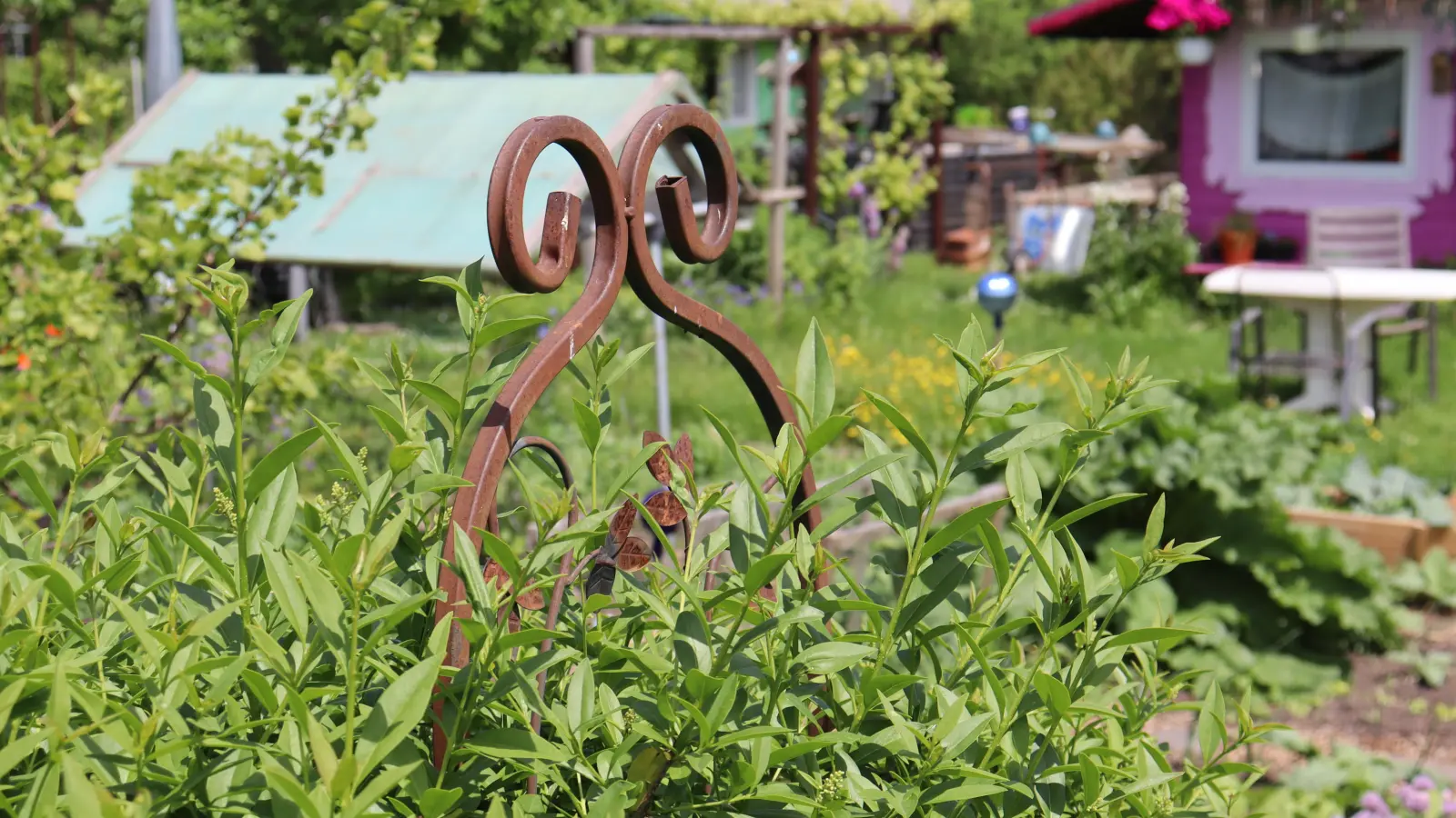 Auch Eigentümer mit einem Sondernutzungsrecht an der Gartenfläche haben rechtlich innerhalb der Wohnungseigentümergemeinschaft einiges zu beachten. (Archivbild: bas)