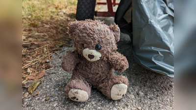 Dieser Teddy sucht seine Besitzerin namens Matilda. (Foto: Grüne)