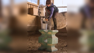 Keine Karotte? Dieses Pony hoffte auf einen anderen Fund, den die Reiterin hier herausangelte. (Foto: Reit- und Fahrverein)