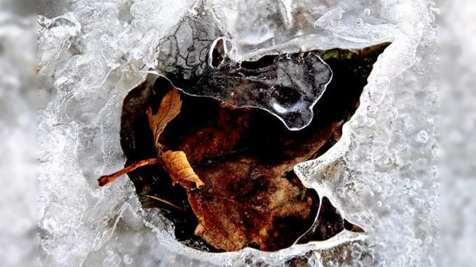 Winter- und Sommerimpressionen zeigen Eva Levcs Fotos.	 (Foto: VA)