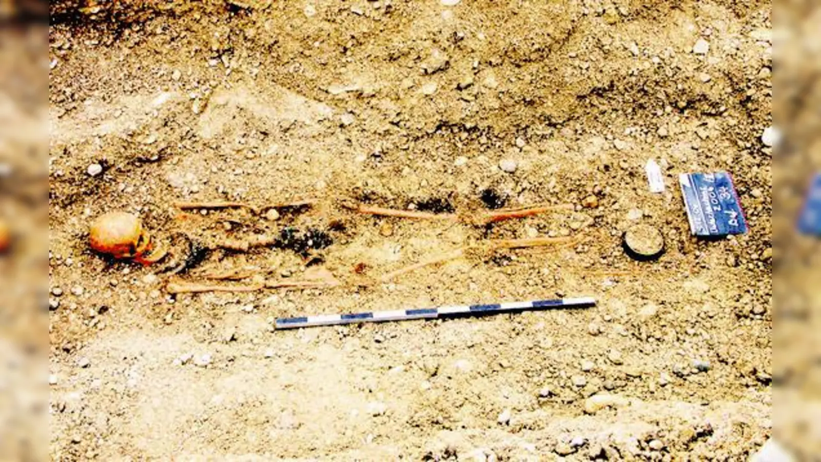 Bei den Grabungsarbeiten im Jahr 2004 wurde unter anderem das Grab einer jungen Frau mit wertvollen Beigaben gefunden.     (Foto: Goverts)