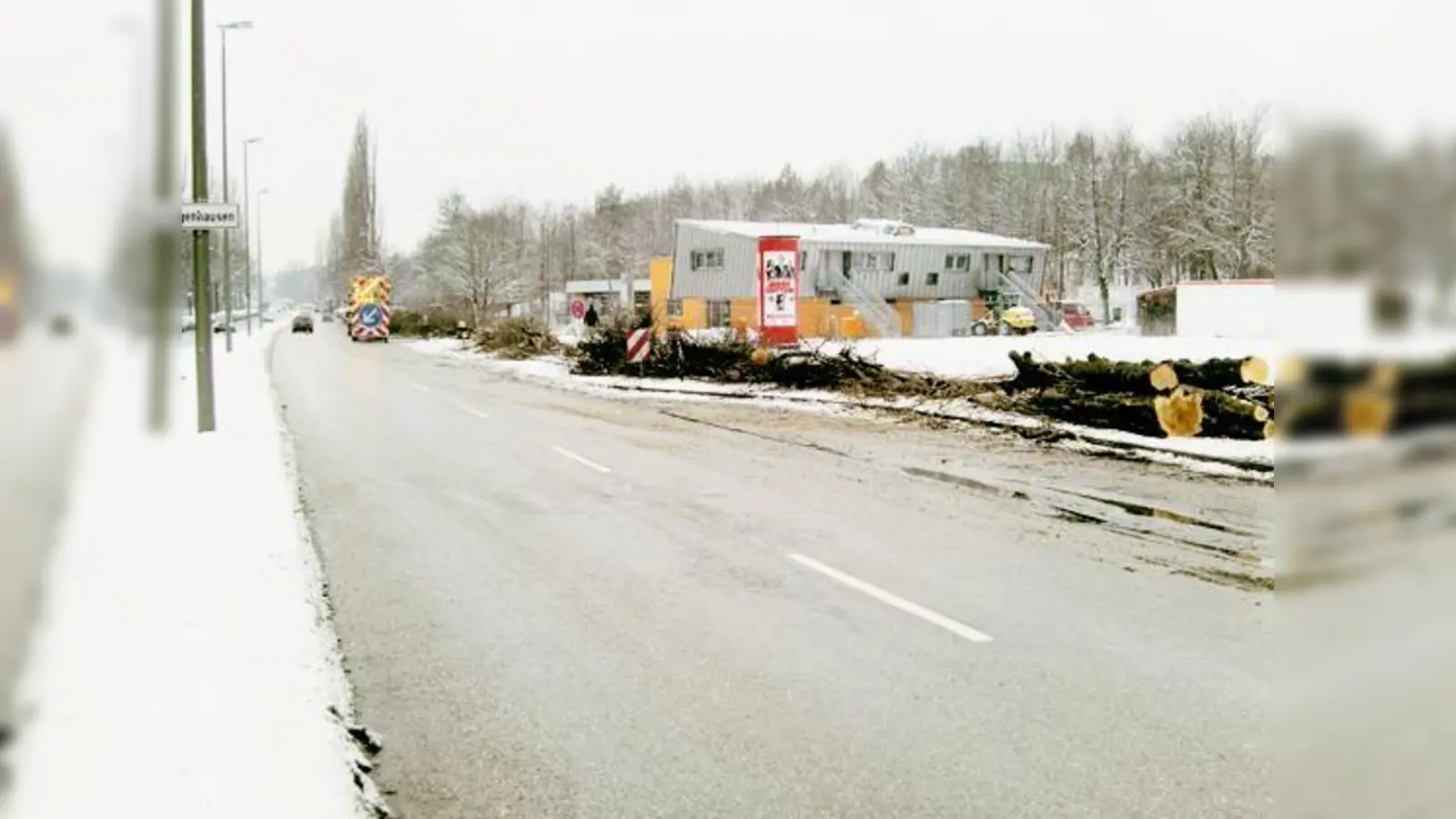 Ganz schön viel Holz auf der Straße: Rund um den Effnerplatz kreischen jetzt die Sägen.	 (Foto: ikb)