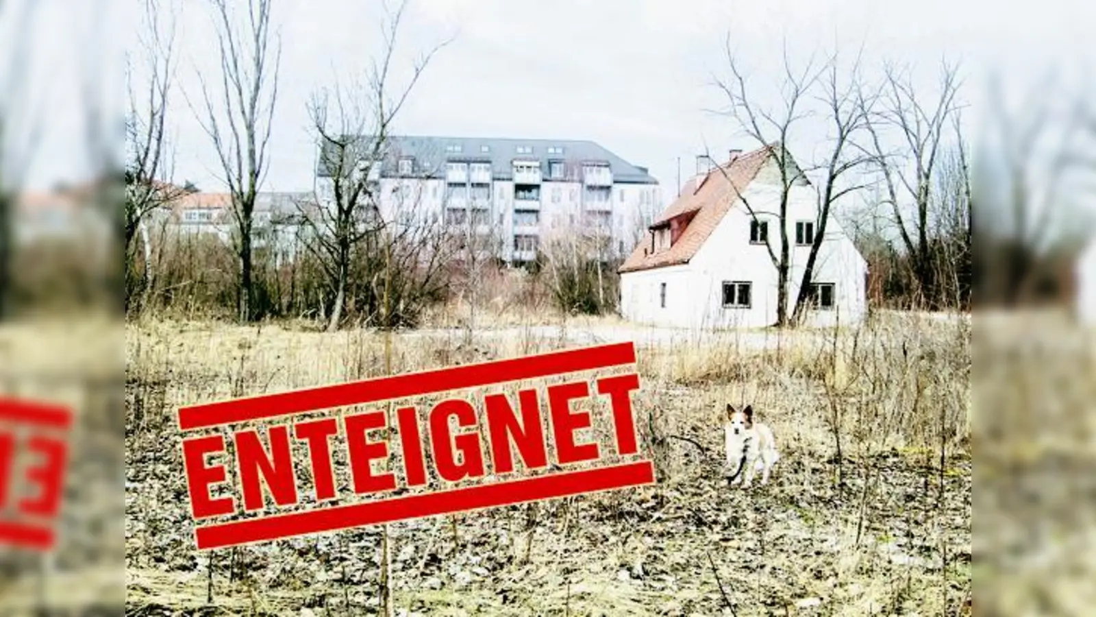 Weil dieses Gundstück statt Bauland zu werden als öffentliche Grünfläche ausgewiesen wurde, ließ sich die Eigentümerin lieber enteignen. 	 (Foto: hgb)